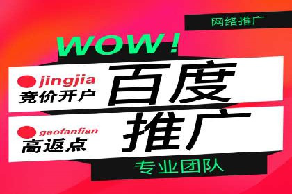 百度推广代运营案例：行业领先企业的成功之道